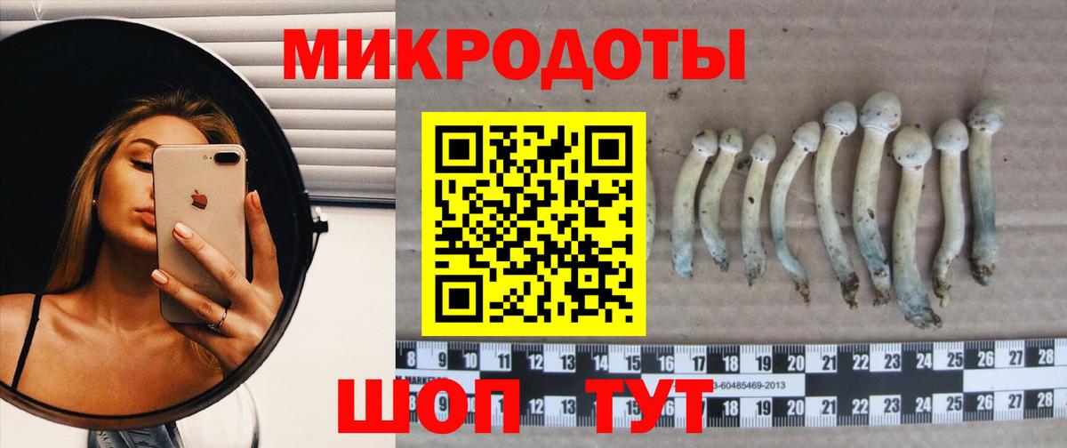 Псилоцибиновые грибы прущие грибы  Вход с VPN  Мценск  Галлюциногенные грибы MAGIC MUSHROOMS 